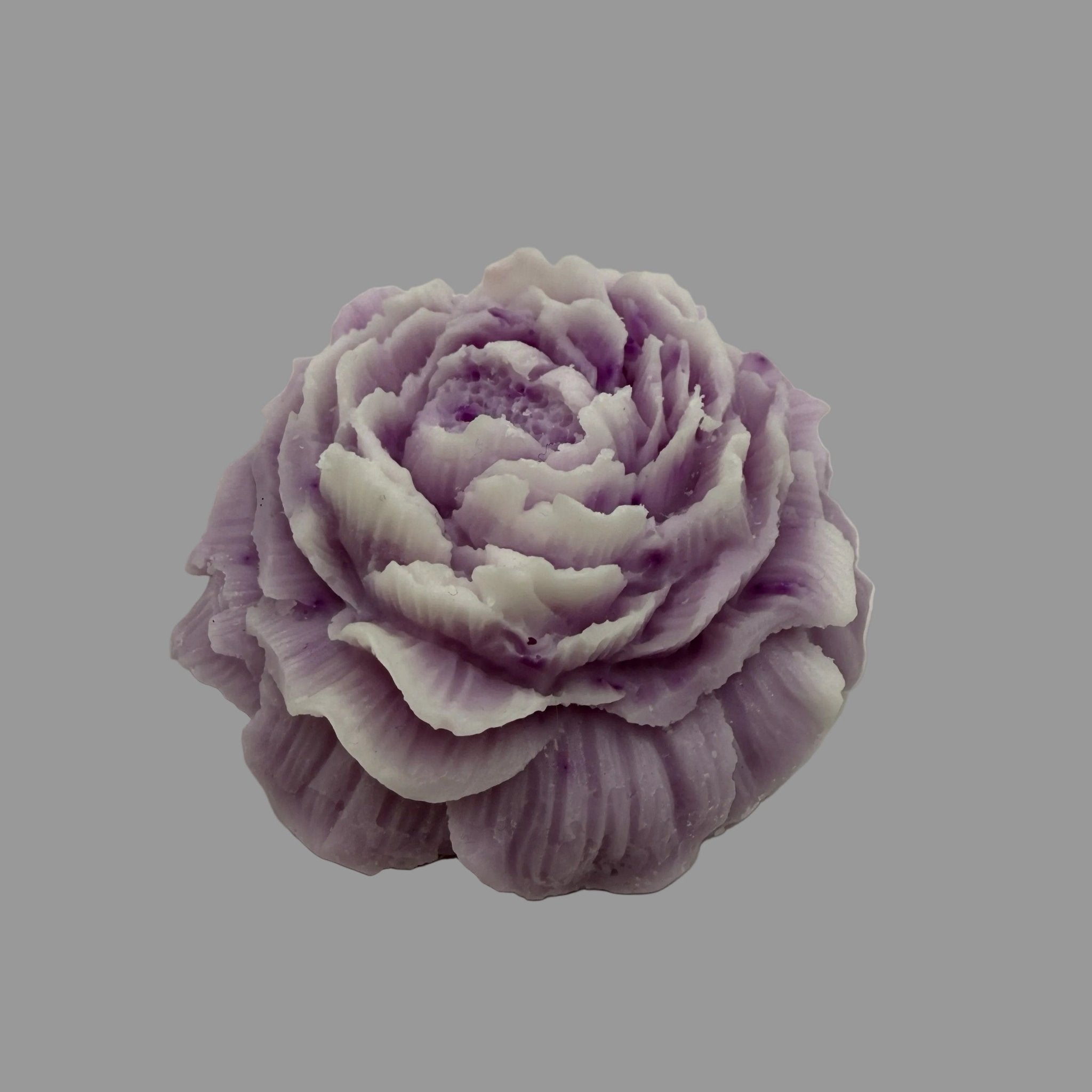 Ombre Peony Wax Melt Gift Box